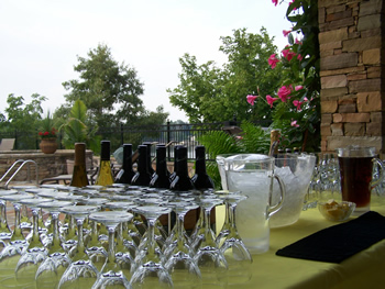 Shannon Miller Price